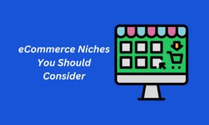 eCommerce Niches You Should Consider