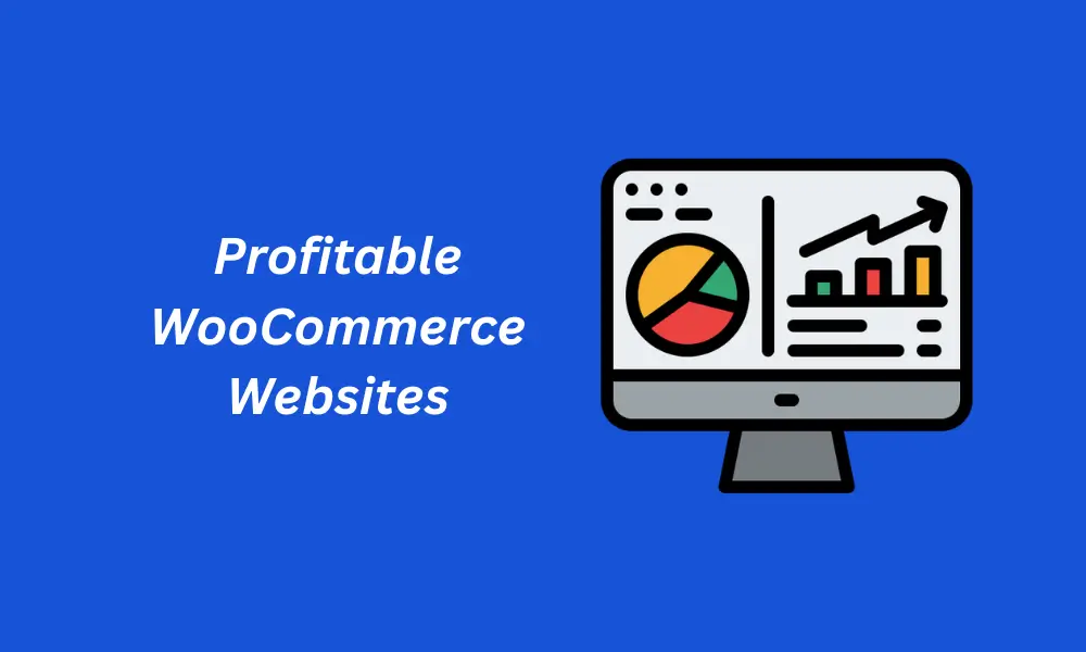 Top 5 Profitable WooCommerce Websites You Can Build to Make Money